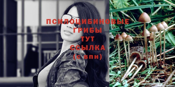 Альфа ПВП Балабаново