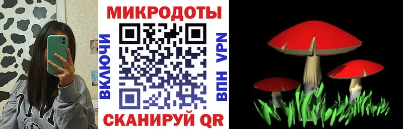 Псилоцибиновые грибы MAGIC MUSHROOMS  где можно купить   Шилка 