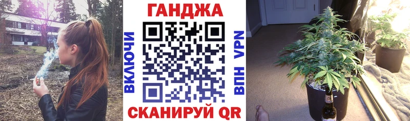 кракен вход  Шилка  МАРИХУАНА конопля 